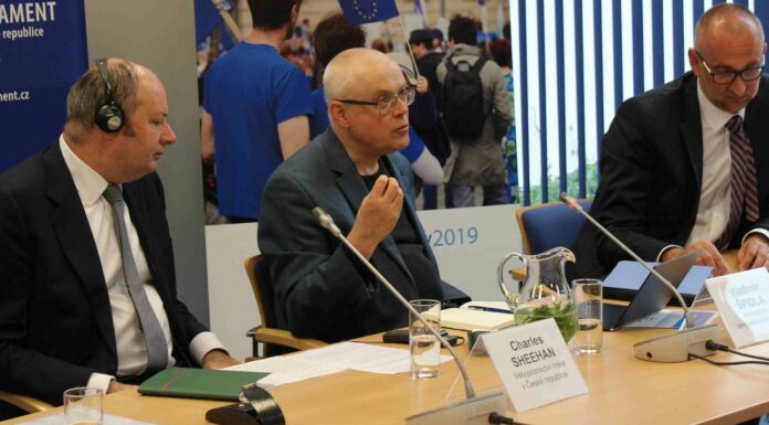 Evropská politika posílila české zemědělství, tvrdí Špidla ceske_zemedelstvi