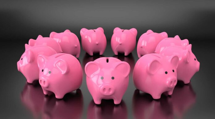 Spoření na stáří v penzijních fondech má 80 % padesátníků