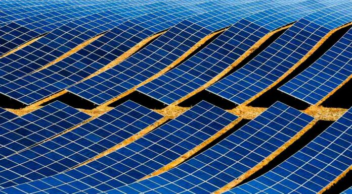 Solární energie zaslouží podporu, tvrdí SP ČR solární energie