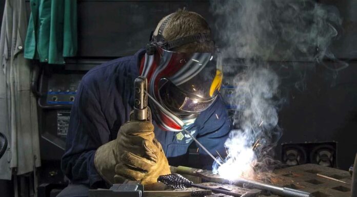 Mzda vzrostla o 6,9 %, zaměstnanost o 0,1 % mzda