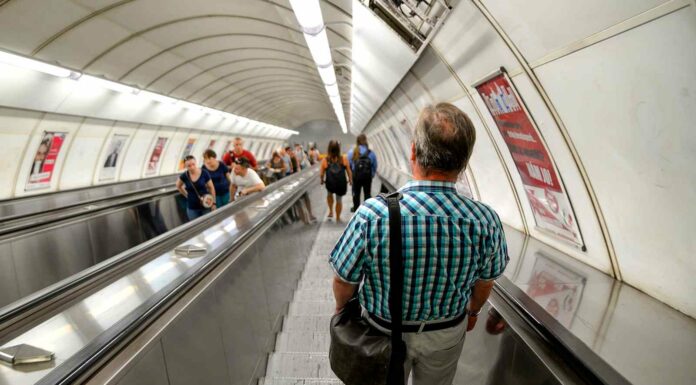 Zaměstnanci přibyli i ve třetím čtvrtletí. Podnikatelů ubylo zaměstnanci A