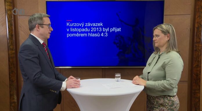 Oslabení koruny v roce 2013 mělo přijít dříve, tvrdí Tomáš Holub