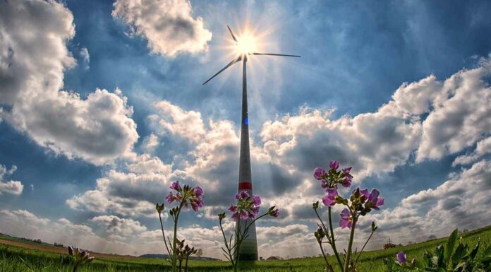 Větrníky v Česku vyrobí ani ne procento spotřeby elektřiny větrníky