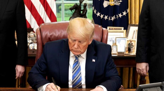 Donald Trump udělal, co avizoval. Pozastavil financování WHO financovani_WHO