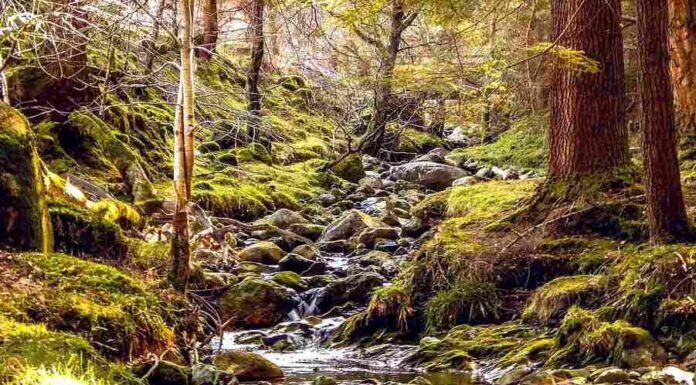 Na zachycení a udržení vody v krajině míří miliardy korun vody_d