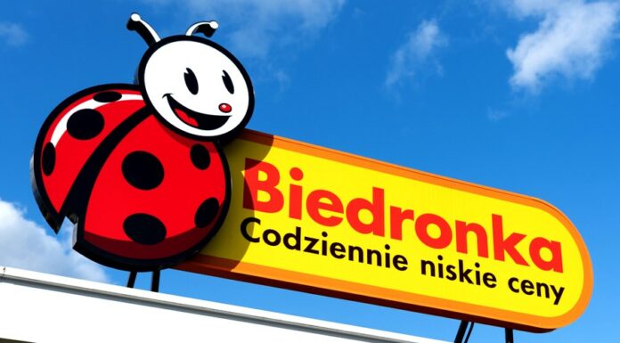 Polské firmy dominují regionu CEE, české firmy jsou druhé CEE