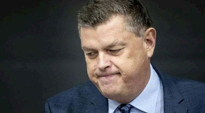 Vybití norků kvůli covidu ohrožuje dánskou vládu danskou