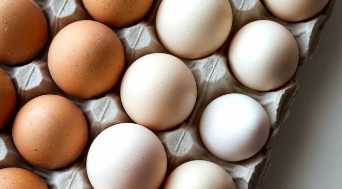 Zemědělská živočišná produkce letos rostla. Díky vejcím i mléku zemedelska