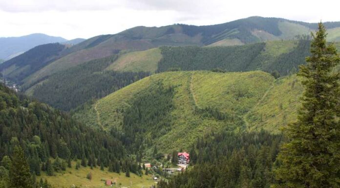 Na Slovensku podmínili volný pohyb negativním testem na covid na_Slovensku