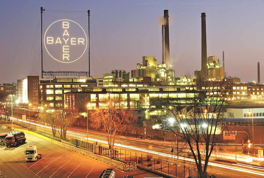 Bayer Bayer