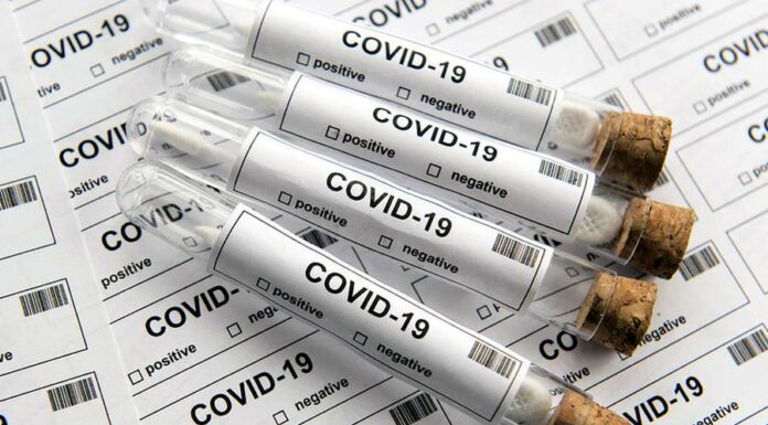 Už ve středu se bude ve veřejné správě testovat všude testovat