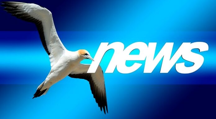 FinTag Newsletter od 4.4. 2021 do 10.4. 2021 FinTag_Newsletter_od 4.4._2021_do_10.4._2021