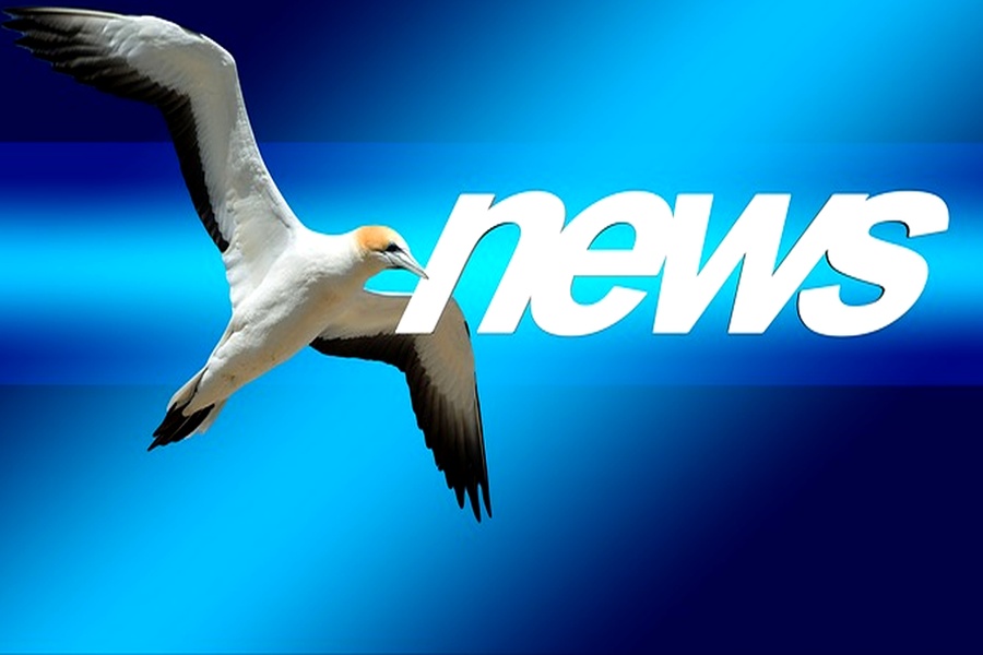 FinTag_Newsletter_od 4.4._2021_do_10.4._2021 FinTag_Newsletter_od 4.4._2021_do_10.4._2021