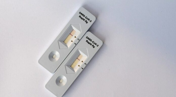 Povinné testování ve firmách končí zítra. Platí to i pro OSVČ testovani_ve_firmach