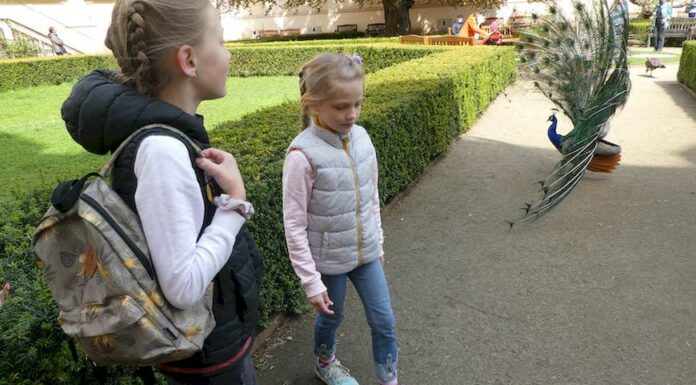 Stát zavíral mateřinky a omezoval základky protizákonně stat