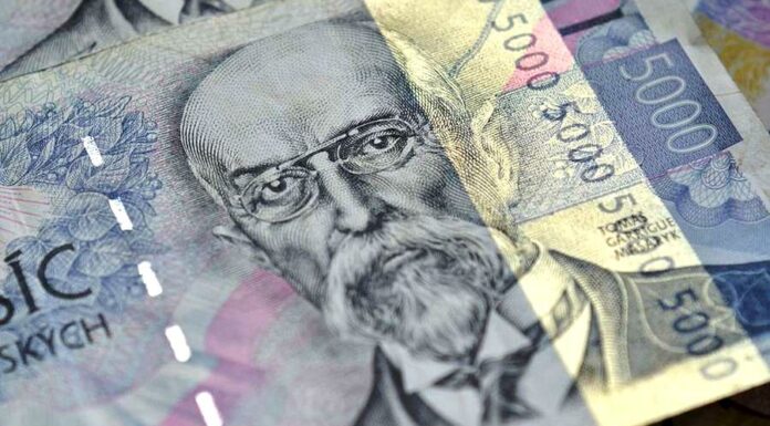 Dluh vládních institucí meziročně vzrostl o více než 10 % dluh