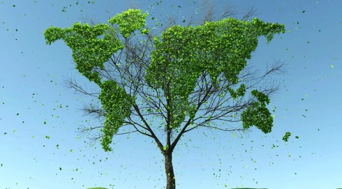 Více než půlka investorů nemá konkrétnější představu o ESG ESG