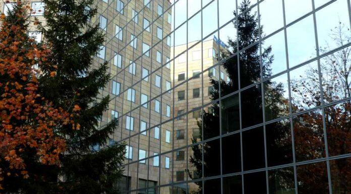 MerXu zažádala investory o peníze na svůj další rozvoj merXu