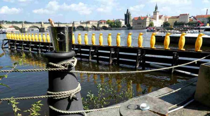 Praha schválila rozpočet na příští rok ve výši 92,6 mld. Kč Praha