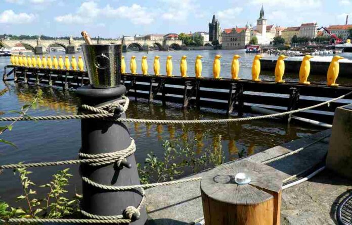 Praha Praha