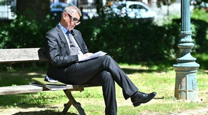 Babiše měli státní zástupci na lopatě, tvrdí Marie Benešová statni
