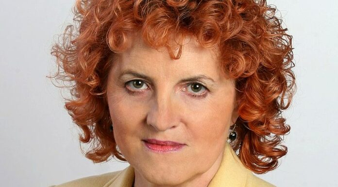 Státní zástupci nejsou bozi, říká Sokol, Kalousek i Pospíšil statni_zastupci