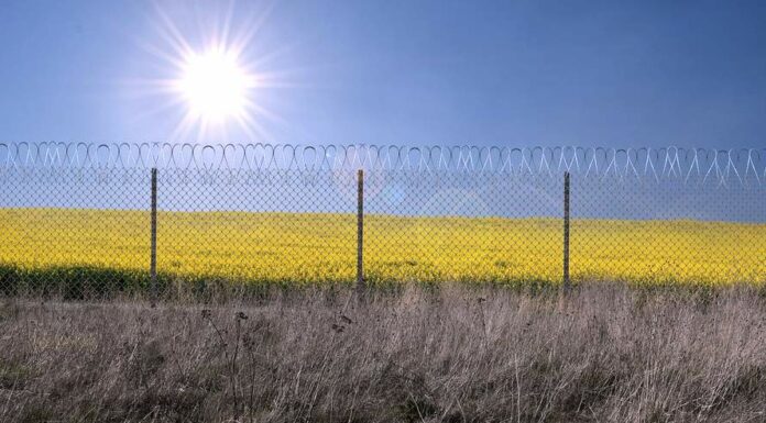FinTag: Přehled příspěvků od 4.4. do 10.4. 2022 prispevku