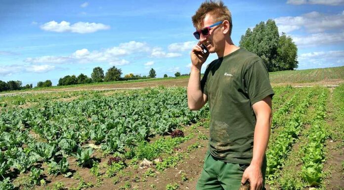 Podruhé ti hajzlové snad už nepřijdou, doufá ukrajinský farmář farmar