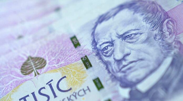 Průměrný plat ve státním sektoru loni činil 41 380 korun plat