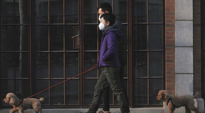 Čína pokračuje v politice nulové tolerance Cina