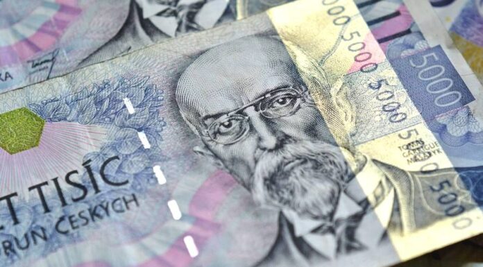 ČSSZ: Krátkodobé a dlouhodobé ošetřovné není totéž kratkodobe_osetrovne