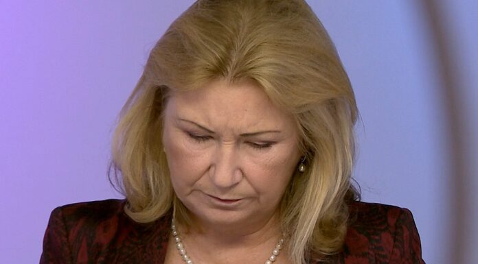 Děláme stejné chyby jako za covidu, tvrdí Zamrazilová zamrazilova