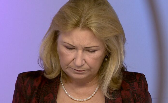 zamrazilova zamrazilova