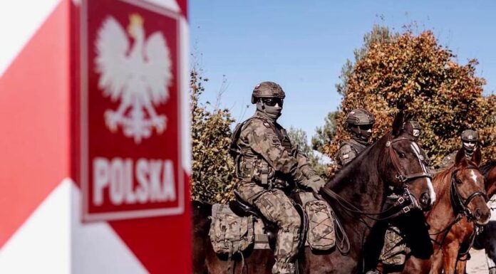 Poláci kupují zbraně v Koreji. Spojenci jsou zklamaní Polaci