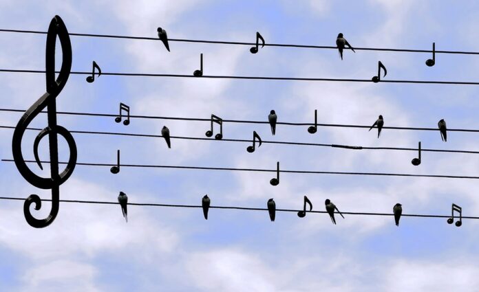 Twitteru Twitteru