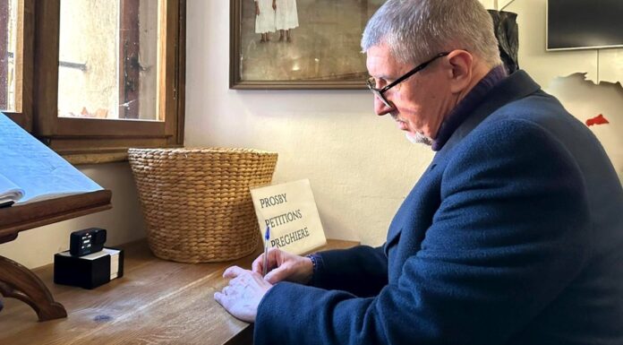 ANO, Babiš hraje o víc než jen o funkci prezidenta ANO